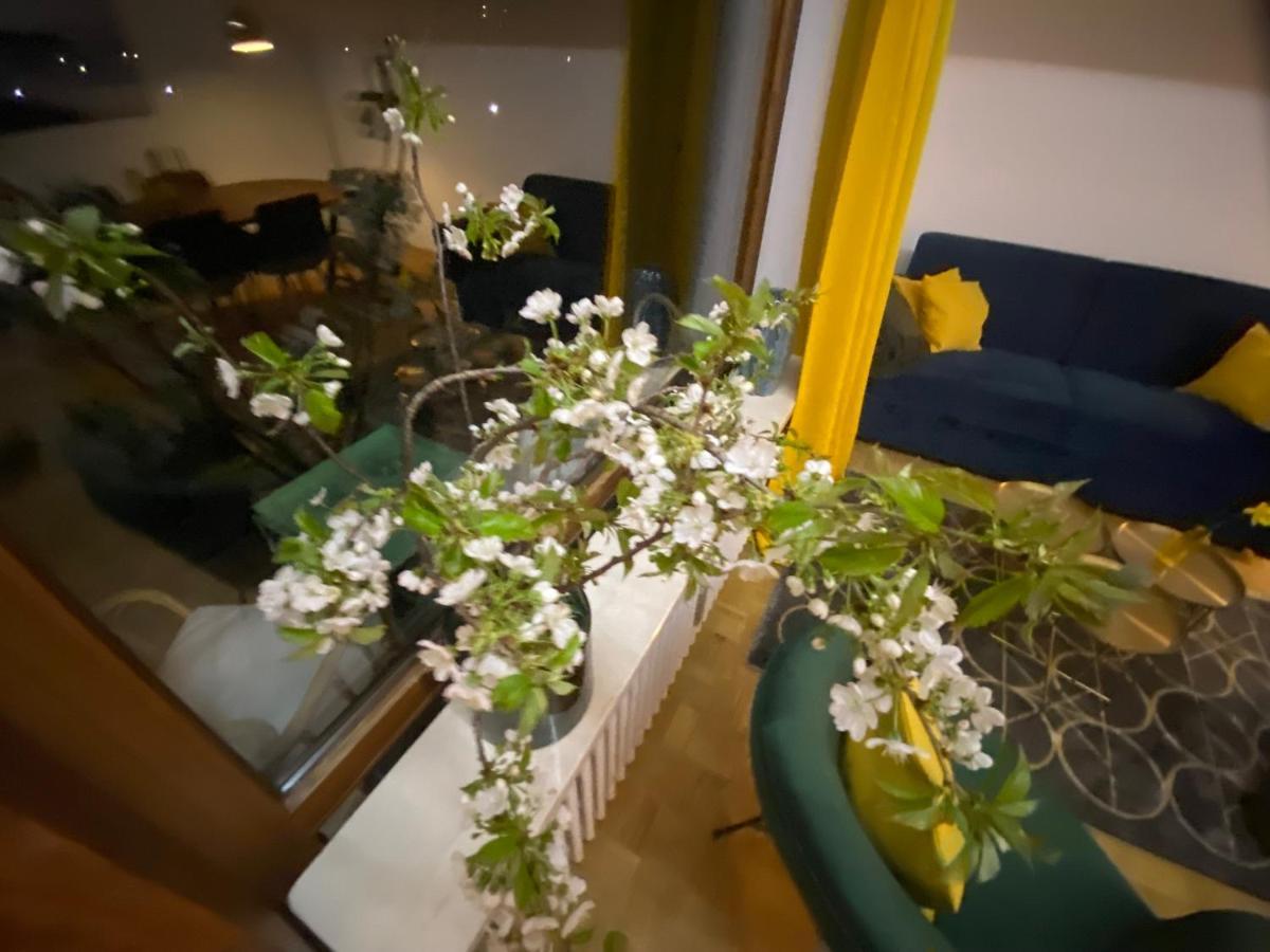 Ferienwohnung Panoramablick - Alpenmagie Suites Обераудорф Екстер'єр фото